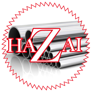 HAZAIロゴ